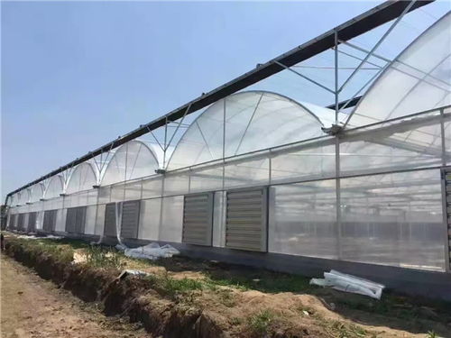 宣城溫室大棚設(shè)計(jì)與施工全解析 貴貴溫室打造高效農(nóng)業(yè)藍(lán)圖
