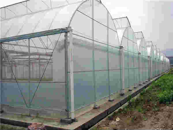 湖南花卉溫室廠家 量大從優(yōu)，多圖實(shí)拍，打造您的智能花園