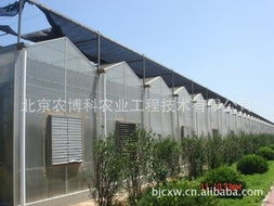 北京農(nóng)博科科技發(fā)展溫室大棚產(chǎn)品列表與亮點(diǎn)解析