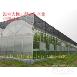 智能連棟溫室大棚 定制化設(shè)計(jì)，引領(lǐng)現(xiàn)代農(nóng)業(yè)新未來(lái)
